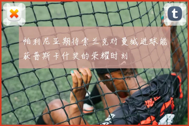 帕利尼亚期待索兰克对曼城进球能获普斯卡什奖的荣耀时刻